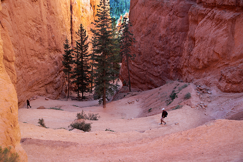 Bryce Canyon : Utah : Landscape Photos : Richard Moore : Photographer